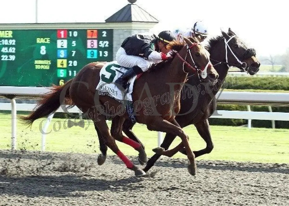 Shotgun Gulch - Finish The Vinery Madison Gr I Keeneland