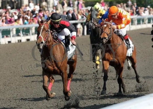 Shotgun Gulch - Inside Finish The Vinery Madison Keeneland