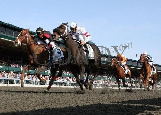 Shotgun Gulch - Rail The Vinery Madison Gr I T Keeneland
