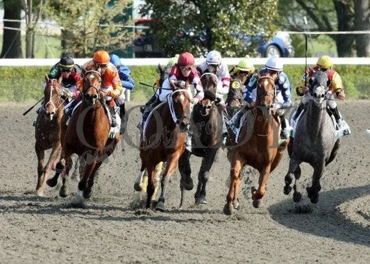 Shotgun Gulch - Turn The Vinery Madison Gr I T Keeneland