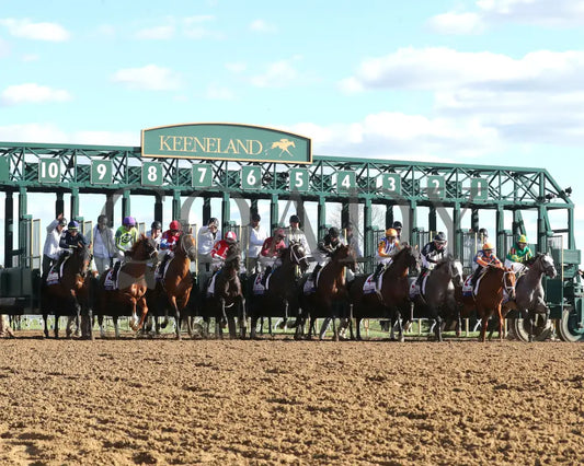 Sierra Leone - The Toyota Blue Grass G1 100Th Running 04 - 06 - 24 R10 Kee Start 01 Keeneland
