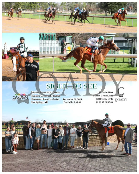 Sight To See - 12-29-24 R01 Op Oaklawn Park