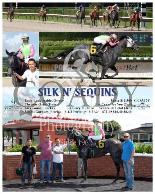 SILK N' SEQUINS - 011114 - Race 02 - CRC - Coady Media - Kurtis Coady Photography