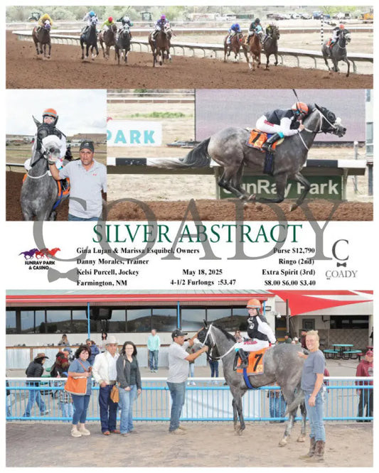 SILVER ABSTRACT - 05-18-25 - R11 - SRP SunRay Park