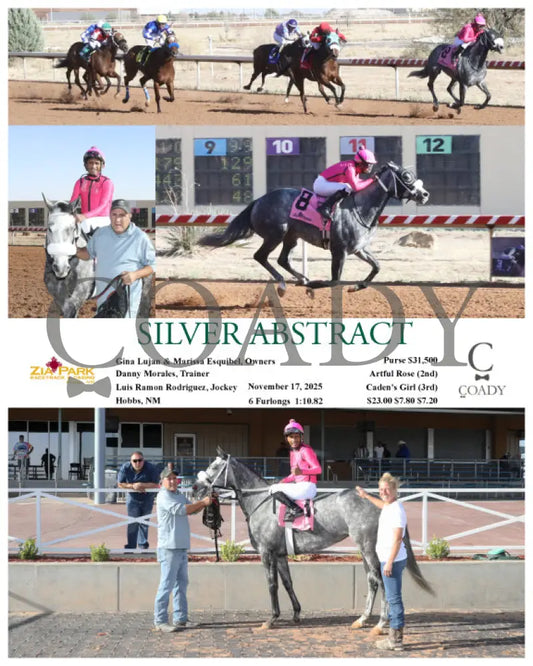 SILVER ABSTRACT - 11-17-25 - R06 - ZIA - Coady Media - Kurtis Coady Photography