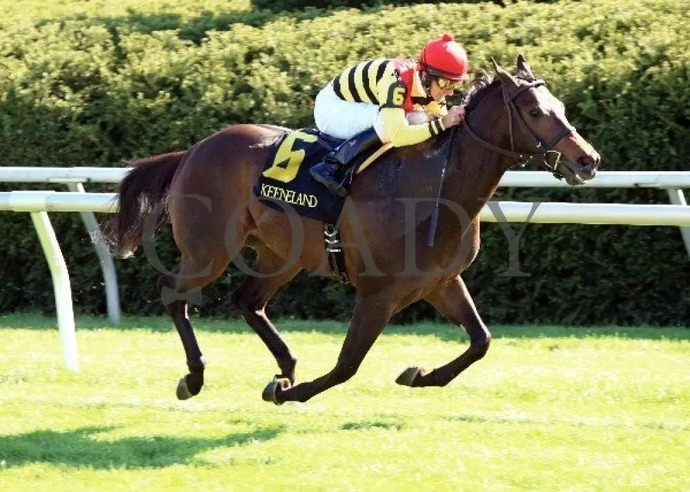 Silver Max - Transylvania 040612 Fin Keeneland