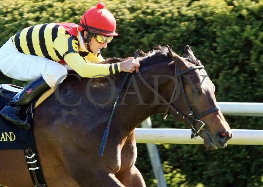 Silver Max - Transylvania 040612 Tight Fin Keeneland