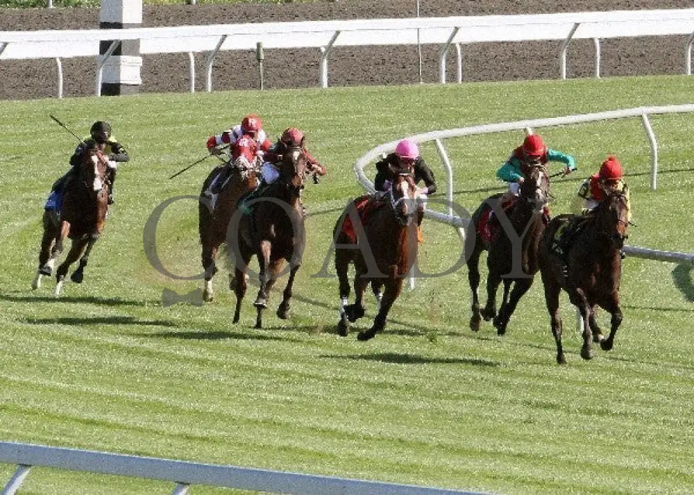 Silver Max - Transylvania 040612 Turn Keeneland