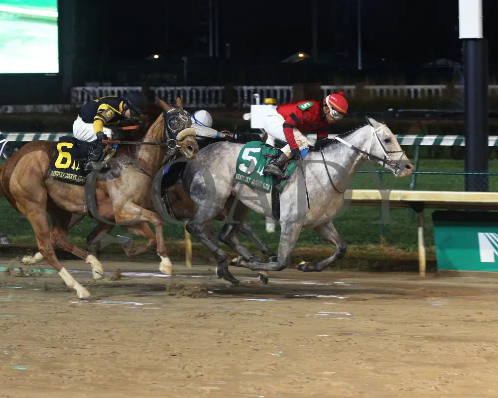 Silver Prospector - Kentucky Jockey Club G2 93Rd Running 11-30-19 R11 Cd Finish 01 Churchill Downs
