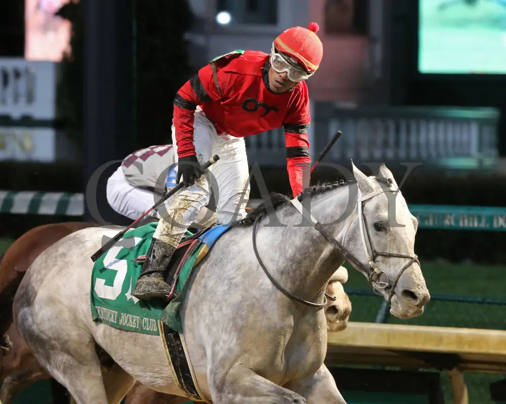 Silver Prospector - Kentucky Jockey Club G2 93Rd Running 11-30-19 R11 Cd Finish 03 Churchill Downs