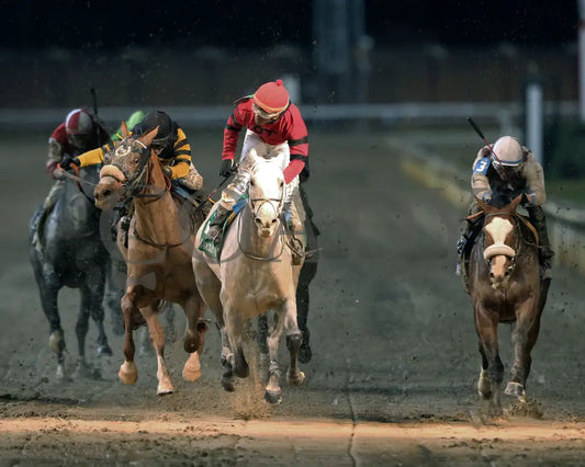 Silver Prospector - Kentucky Jockey Club G2 93Rd Running 11-30-19 R11 Cd Head On 01 Churchill Downs
