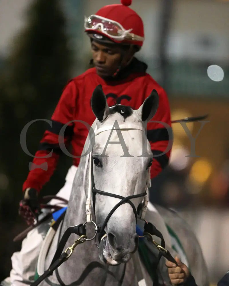 Silver Prospector - Kentucky Jockey Club G2 93Rd Running 11-30-19 R11 Cd Paddock 01 Churchill Downs