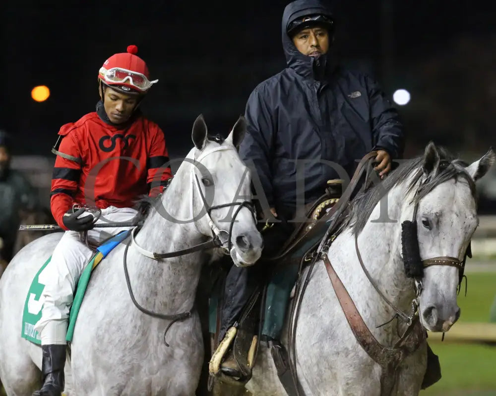 Silver Prospector - Kentucky Jockey Club G2 93Rd Running 11-30-19 R11 Cd Post Parade 01 Churchill