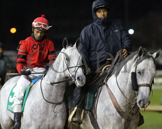 Silver Prospector - Kentucky Jockey Club G2 93Rd Running 11-30-19 R11 Cd Post Parade 01 Churchill