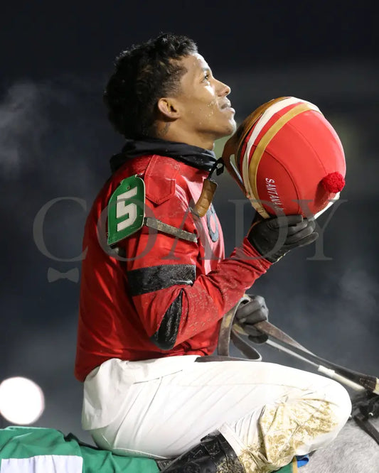 Silver Prospector - Kentucky Jockey Club G2 93Rd Running 11-30-19 R11 Cd Ricardo Santana 02