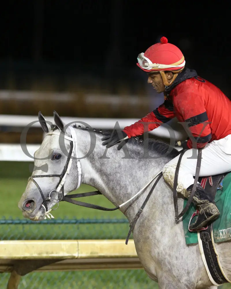 Silver Prospector - Kentucky Jockey Club G2 93Rd Running 11-30-19 R11 Cd Scenic 02 Churchill Downs