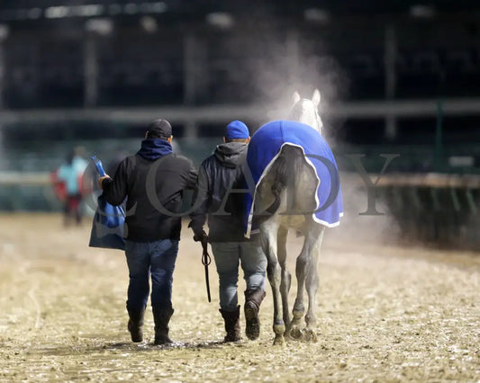 Silver Prospector - Kentucky Jockey Club G2 93Rd Running 11-30-19 R11 Cd Scenic 03 Churchill Downs