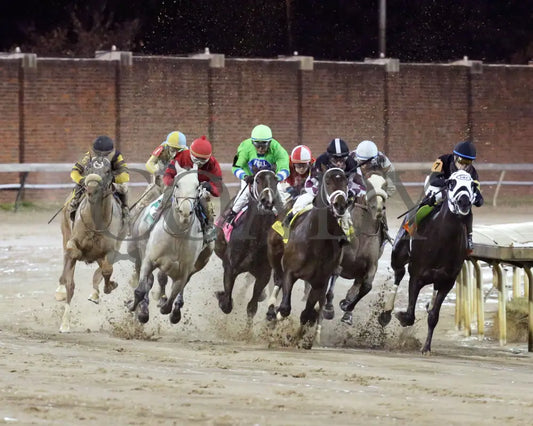Silver Prospector - Kentucky Jockey Club G2 93Rd Running 11-30-19 R11 Cd Turn 01 Churchill Downs