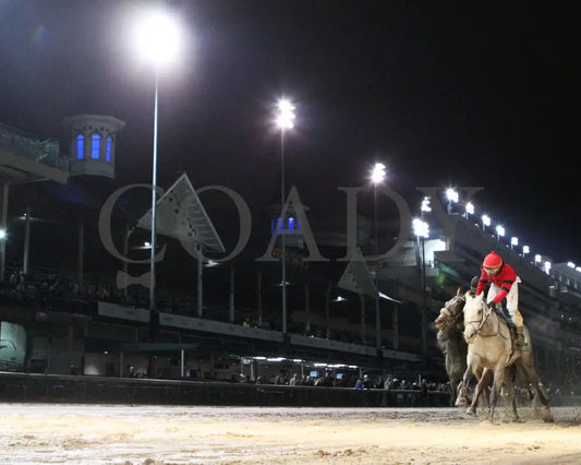 Silver Prospector - Kentucky Jockey Club G2 93Rd Running 11-30-19 R11 Cd Under Rail 01 Churchill