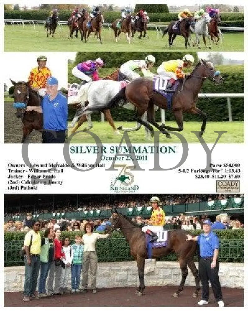 Silver Summation - 102311 Keeneland