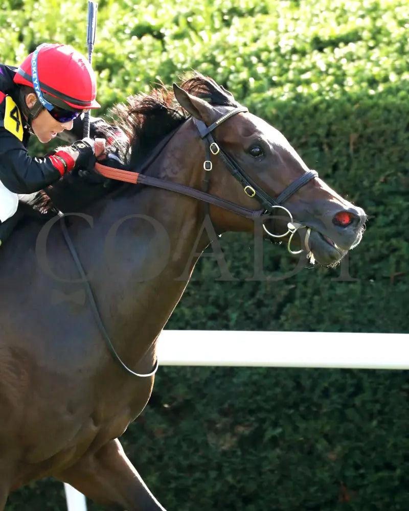 SIMPLY IN FRONT - 100425 - Race 08 - KEE - Finish 04 Keeneland