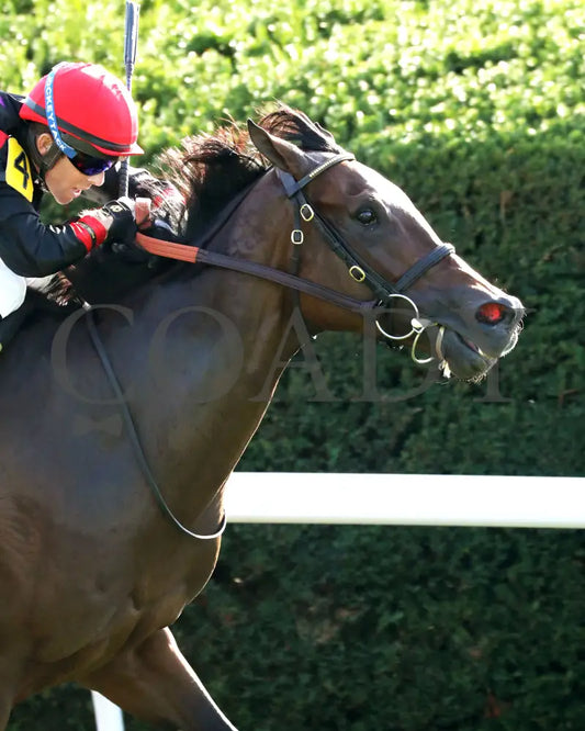 SIMPLY IN FRONT - 100425 - Race 08 - KEE - Finish 04 Keeneland