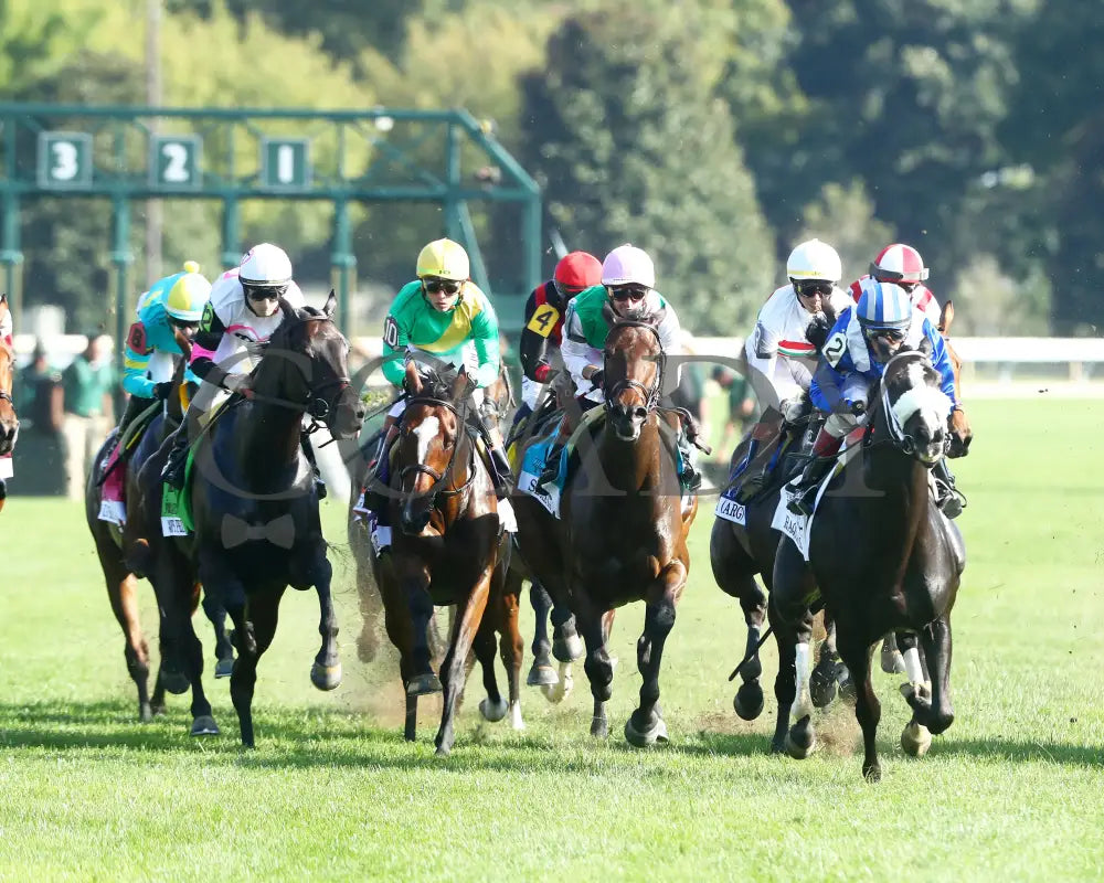 SIMPLY IN FRONT - 100425 - Race 08 - KEE - First Turn 01 Keeneland