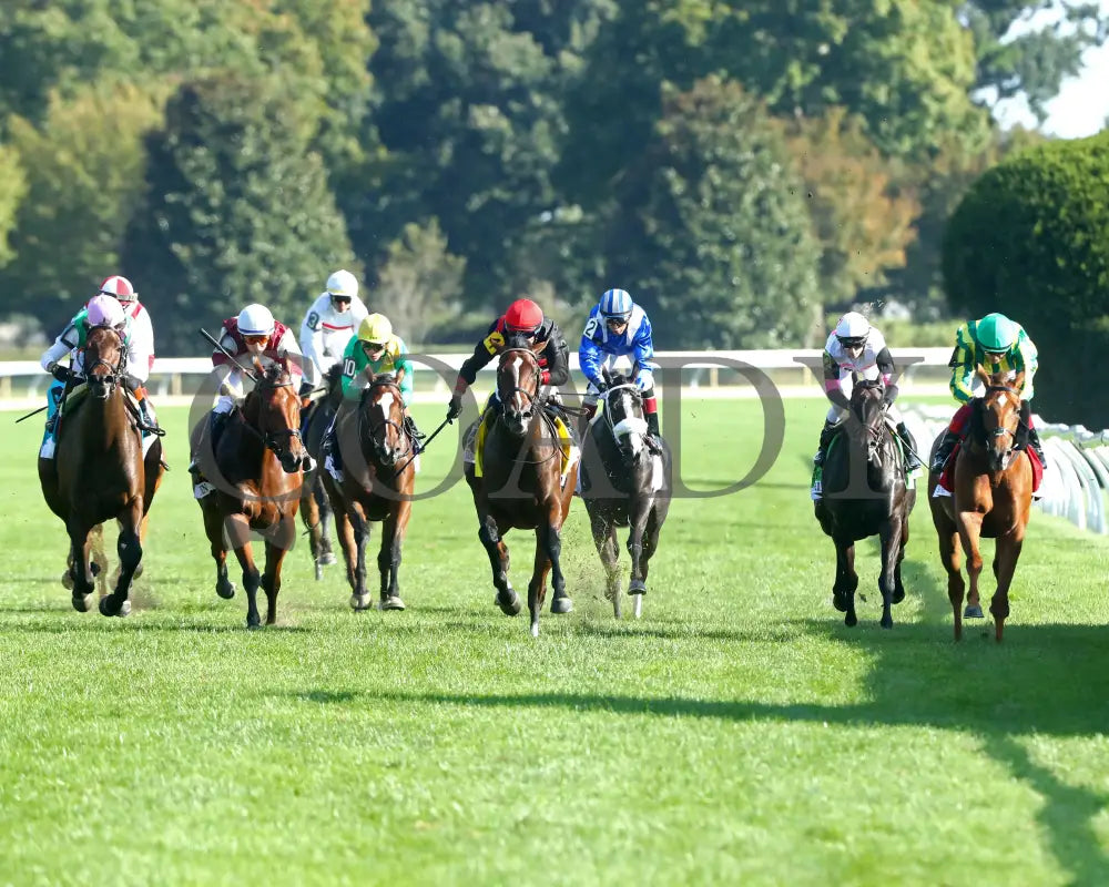 SIMPLY IN FRONT - 100425 - Race 08 - KEE - Head On 01 Keeneland