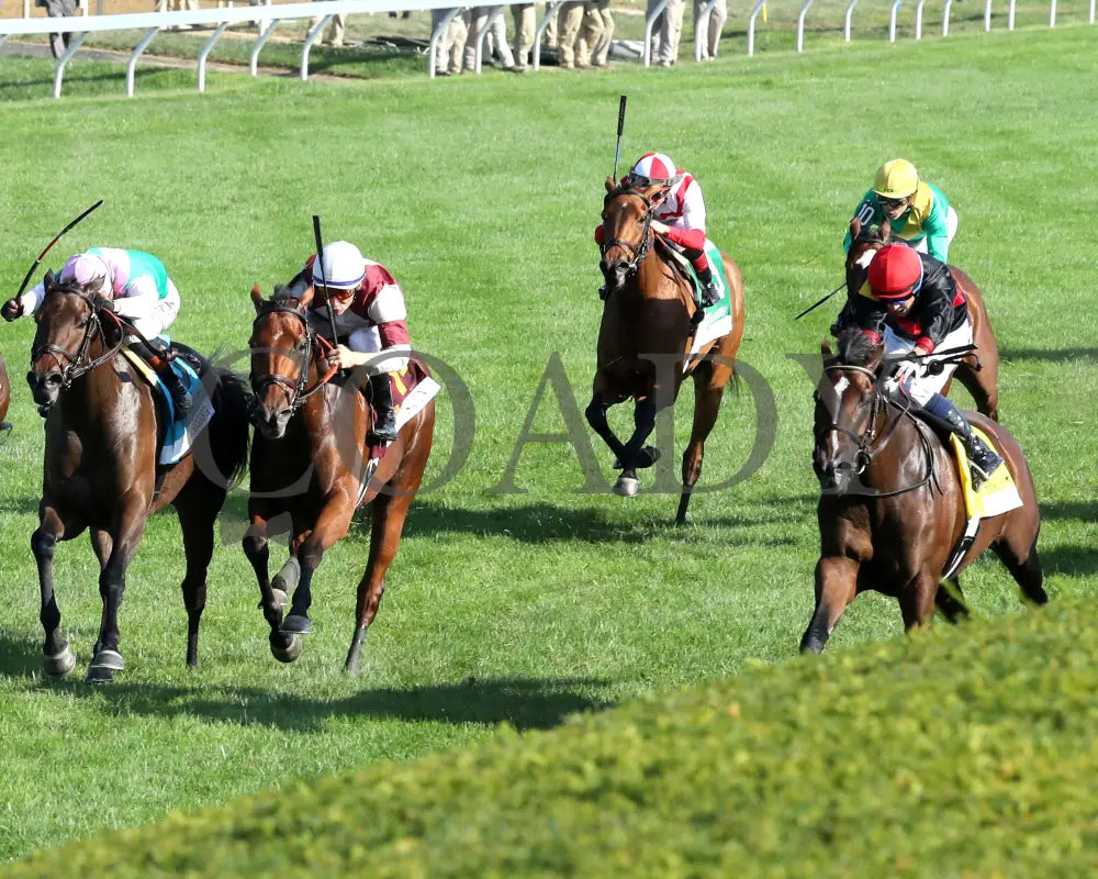 SIMPLY IN FRONT - 100425 - Race 08 - KEE - Inside Finish 01 Keeneland