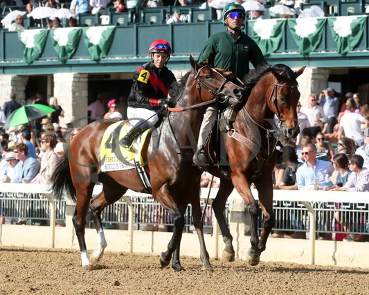 SIMPLY IN FRONT - 100425 - Race 08 - KEE - Post Parade 02 Keeneland