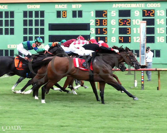 SIMPLY IN FRONT - KY Downs Preview Ladies Turf Mile - 08-03-25 - R08 - ELP - Finish 01 Ellis Park