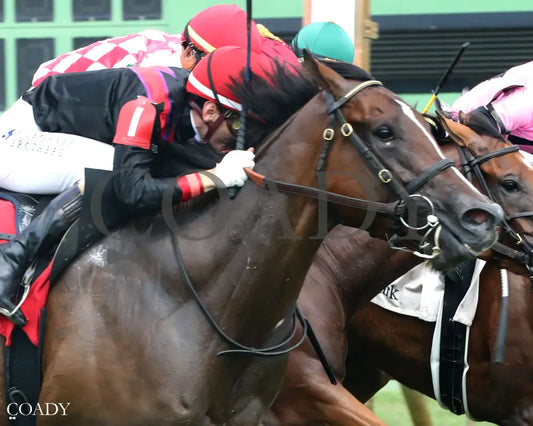 SIMPLY IN FRONT - KY Downs Preview Ladies Turf Mile - 08-03-25 - R08 - ELP - Finish 02 Ellis Park