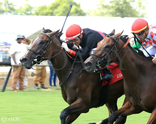 SIMPLY IN FRONT - KY Downs Preview Ladies Turf Mile - 08-03-25 - R08 - ELP - Inside Finish 01 Ellis Park