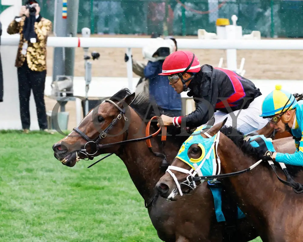 SIMPLY IN FRONT - 050325 - Race 05 - CD - Inside Finish 03 Churchill Downs
