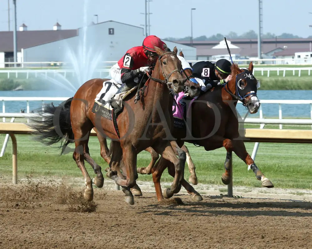 SIR BAHJY - Hoosier Breeders Sophomore Handicap - 17th Running - 06-11-25 - R08 - Horseshoe Indiana - Finish 02