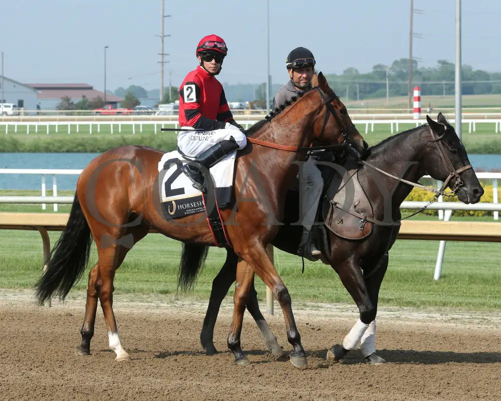 SIR BAHJY - Hoosier Breeders Sophomore Handicap - 17th Running - 06-11-25 - R08 - Horseshoe Indiana - Post Parade 01