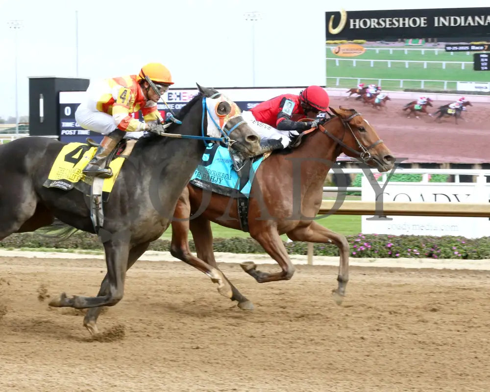 SIR BAHJY - Unreachable Star - 6th Running - 10-25-25 - R07 - Horseshoe Indiana - Finish 01 - Sammantha Pagels Indiana