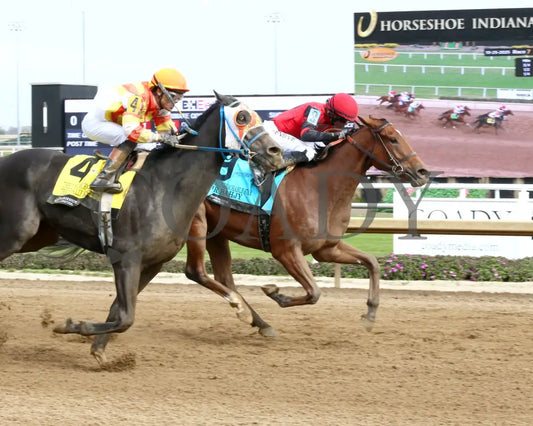 SIR BAHJY - Unreachable Star - 6th Running - 10-25-25 - R07 - Horseshoe Indiana - Finish 01 - Sammantha Pagels Indiana