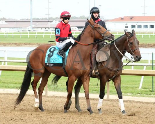 SIR BAHJY - Unreachable Star - 6th Running - 10-25-25 - R07 - Horseshoe Indiana - Post Parade - Devin Hall Indiana Grand