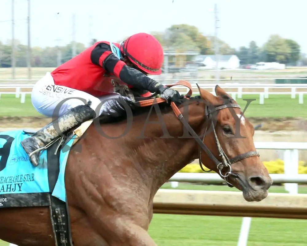 SIR BAHJY - Unreachable Star - 6th Running - 10-25-25 - R07 - Horseshoe Indiana - Tight Finish 01 - Devin Hall Indiana