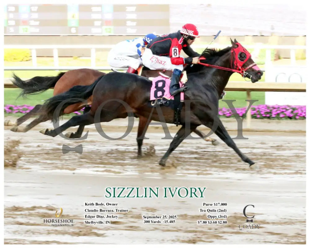 SIZZLIN IVORY - 09-25-25 - R09 - IND - Action Indiana Grand