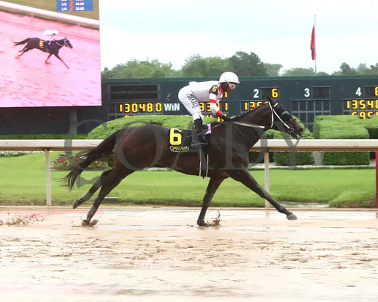 SKELLY - The Lake Hamilton Stakes - 05-02-25 - R08 - OP - Finish 01 Oaklawn Park