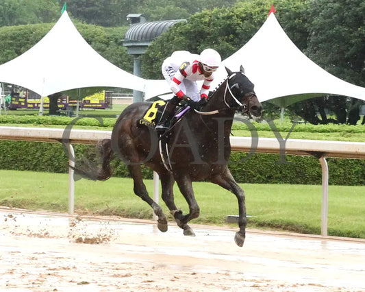 SKELLY - The Lake Hamilton Stakes - 05-02-25 - R08 - OP - Finish 02 Oaklawn Park