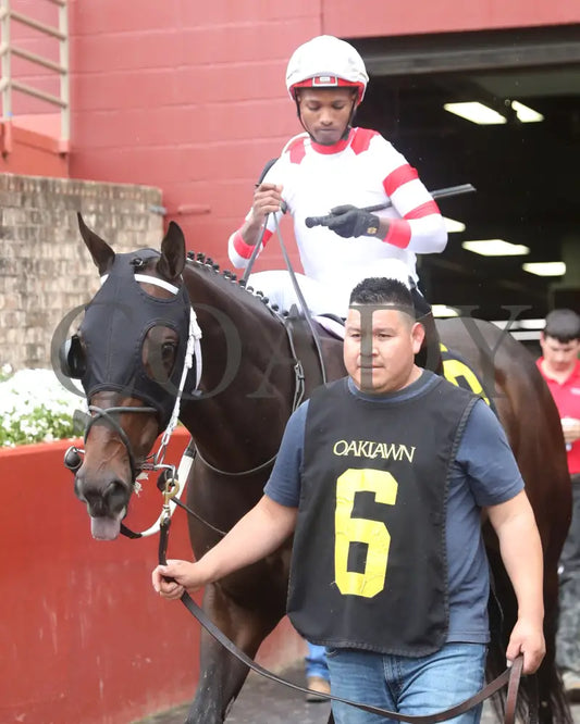 SKELLY - The Lake Hamilton Stakes - 05-02-25 - R08 - OP - Post Parade 01 Oaklawn Park