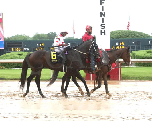 SKELLY - The Lake Hamilton Stakes - 05-02-25 - R08 - OP - Post Parade 02 Oaklawn Park