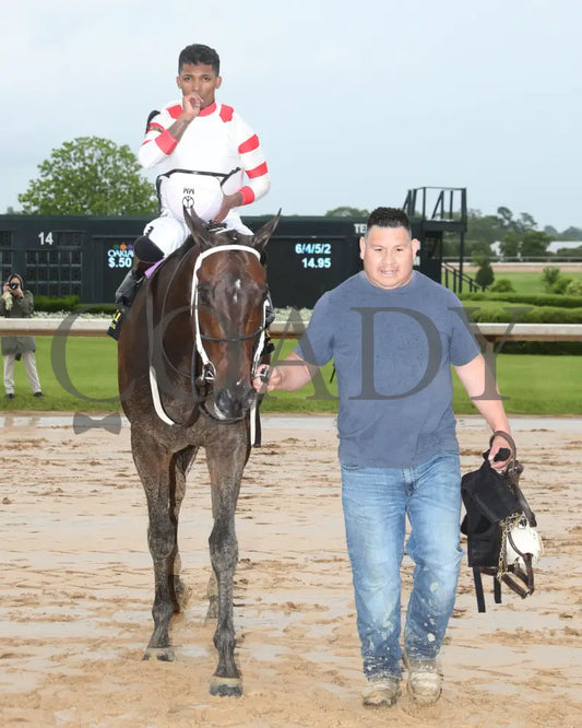 SKELLY - The Lake Hamilton Stakes - 05-02-25 - R08 - OP - Walk In 01 Oaklawn Park