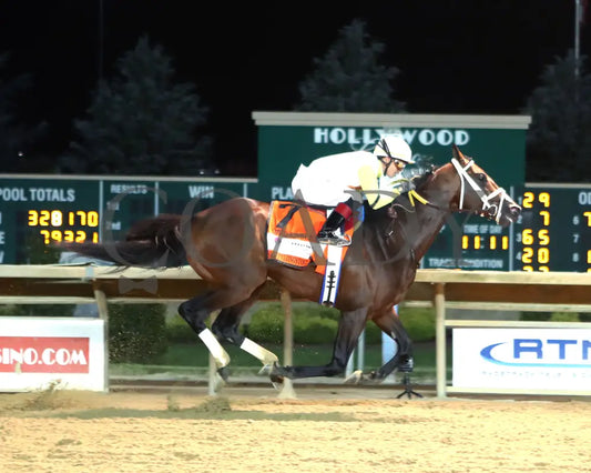 Skippylongstocking - Charles Town Classic G2 16Th Running 08-23-24 R11 Ct Finish 01 Hollywood