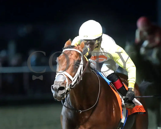 Skippylongstocking - Charles Town Classic G2 16Th Running 08-23-24 R11 Ct Inside Finish 01