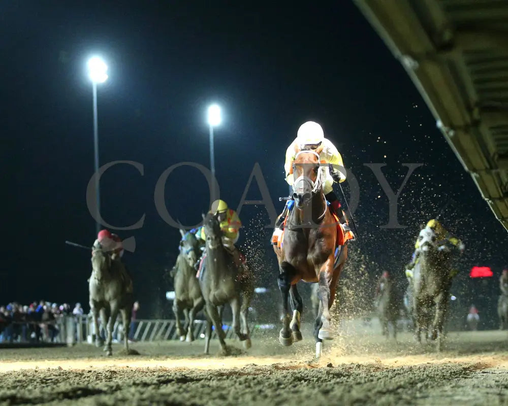 Skippylongstocking - Charles Town Classic G2 16Th Running 08-23-24 R11 Ct Under Rail 01 Hollywood