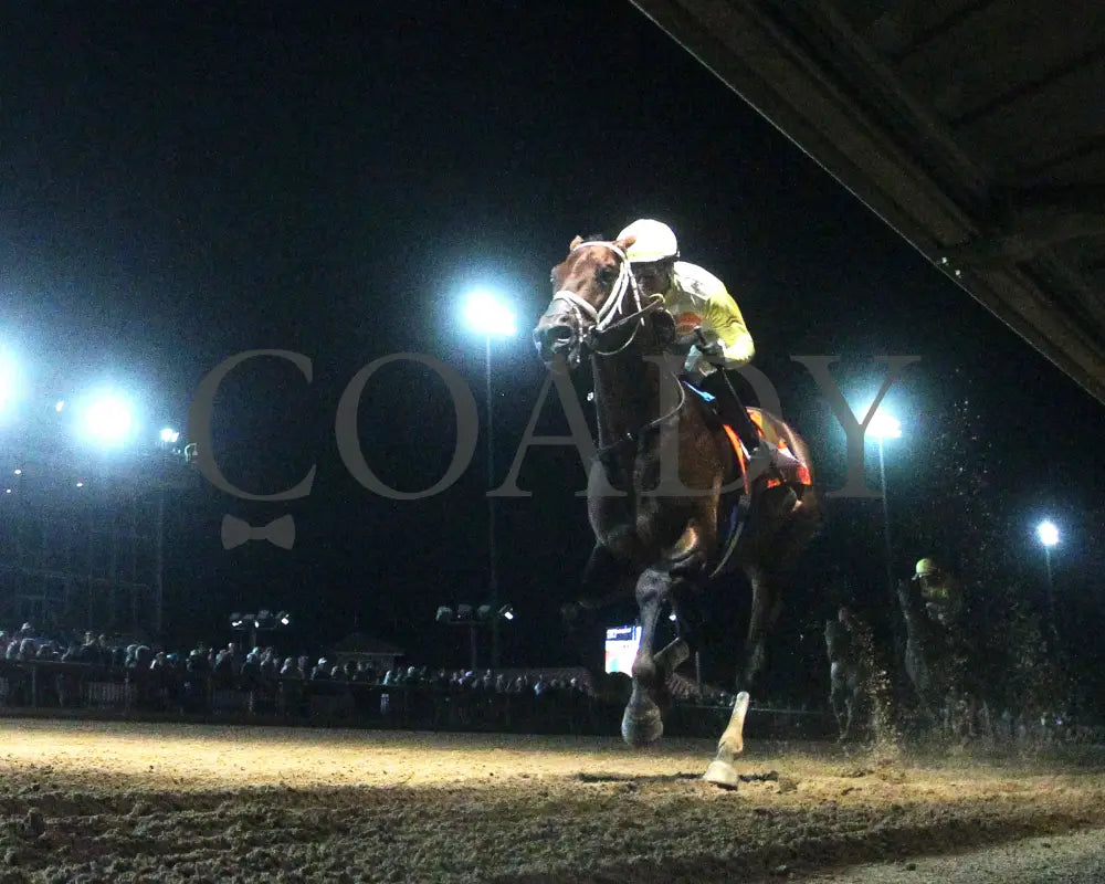 Skippylongstocking - Charles Town Classic G2 16Th Running 08-23-24 R11 Ct Under Rail 02 Hollywood